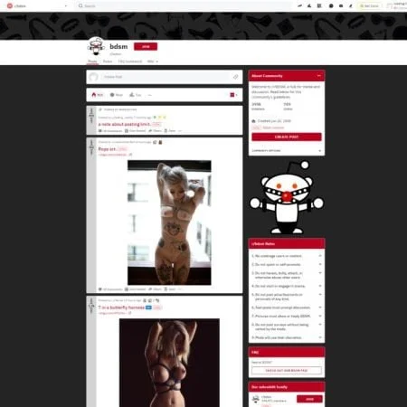 Reddit BDSM screenshot