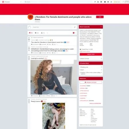 Reddit Femdom screenshot